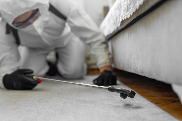 Professional Bed Bug Control technician working in Wythe County County, VA